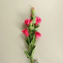 Staunton And Henry Home Accessories Pink Lisianthus Flowers - Set Of 3 Stems