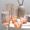 Staunton And Henry Vintage Pink Tumbler With Gold Trim Kitchen