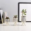 Staunton And Henry Home Accessories Mini Marble Pattern Planter With Gold Stand
