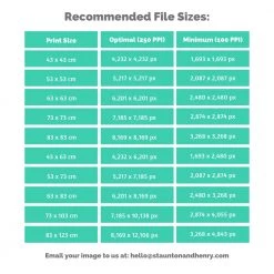 Staunton And Henry Custom Framed Canvas Print Wall Decor