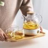 Staunton And Henry Kitchen Kansai Modern Japanese Glass Tea Set