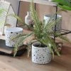 Staunton And Henry Terrazzo Pattern Plant Pots - Set Of 4 Home Accessories