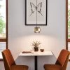Staunton And Henry Lighting Modern Gold And Smokey Glass Pendant Light