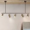 Staunton And Henry Modern Brass Hanging Track Lights