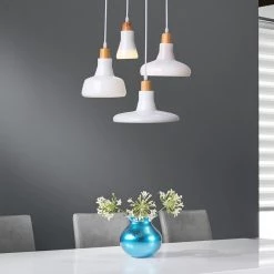 Staunton And Henry Modern Frosted White Pendant Light Set With Ceiling Mount Lighting