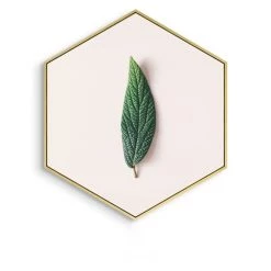Staunton And Henry Home Accessories Hexagon Green Leaf Wall Art With Frame