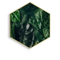 Staunton And Henry Home Accessories Hexagon Green Leaf Wall Art With Frame