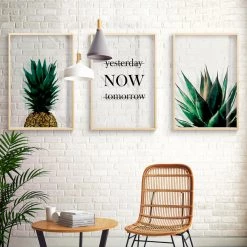 Staunton And Henry Transparent Botanical Wall Art With Frame