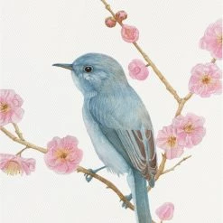 Staunton And Henry Oriental Birds Wall Art - Matching Set Of 2 Wall Decor