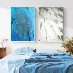 Staunton And Henry Feathers Photographic Wall Art With Frame Wall Decor