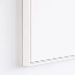 Staunton And Henry Feathers Photographic Wall Art With Frame Wall Decor