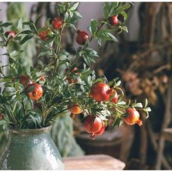 Staunton And Henry Artificial Pomegranate Fruit Plant