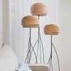 Staunton And Henry Lighting Studio Vayehi Roza Wood Veneer Floor Lamp