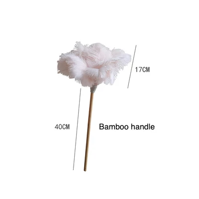 Staunton And Henry Ostrich Feather Duster Home Accessories 9 Staunton And Henry Ostrich Feather Duster Home Accessories