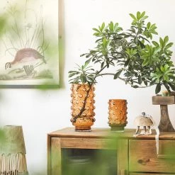 Staunton And Henry Home Accessories Hand-Blown Spotted Clear Glass Vase