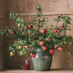 Staunton And Henry Artificial Pomegranate Fruit Plant