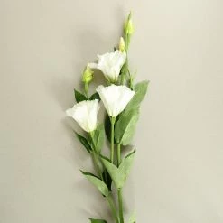 Staunton And Henry White Lisianthus Silk Flowers - Set Of 3 Stems Home Accessories