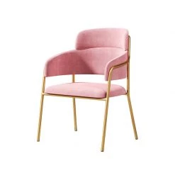 Staunton And Henry Millie Velvet Dining Chairs With Gold Legs (Set Of 2)