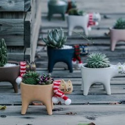 Staunton And Henry Cute Cat Plant Pot Home Accessories