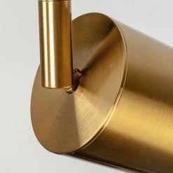 Staunton And Henry Modern Brass Hanging Track Lights