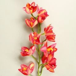 Staunton And Henry Home Accessories Pink Cymbidium Orchid Silk Flowers - Set Of 3 Stems