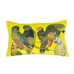 Staunton And Henry Home Accessories Parrot Embroidered Throw Cushion