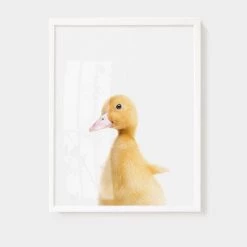 Staunton And Henry Wall Decor Animal Wall Arts For Kids Room