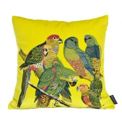 Staunton And Henry Home Accessories Parrot Embroidered Throw Cushion