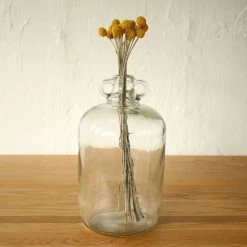 Staunton And Henry Yellow Dried Flowers - Bunch Of 12 5 Staunton And Henry Yellow Dried Flowers - Bunch Of 12