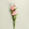 Staunton And Henry Carnation Silk Flowers - Set Of 3 Stems Home Accessories