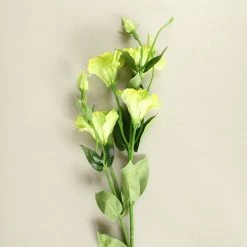 Staunton And Henry White Lisianthus Silk Flowers - Set Of 3 Stems Home Accessories